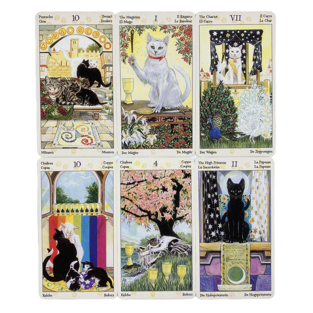 78 Cards Deck Tarot Of Pagan C - Board Game Oracle บทวิจารณ์และราคา