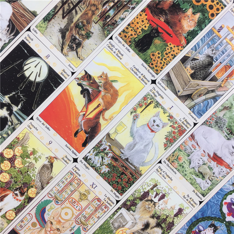 78 Cards Deck Tarot Of Pagan C - Board Game Oracle บทวิจารณ์และราคา