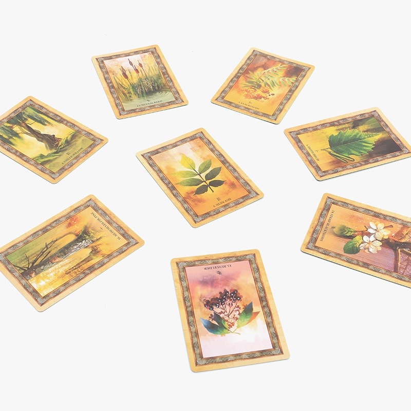 Celtic Tree oracle cards A 25  - Board Game Oracle บทวิจารณ์และราคา