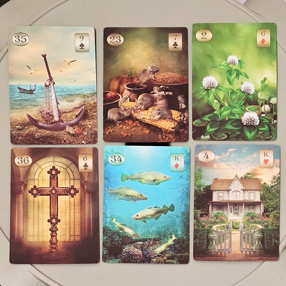 Double-embossed Cardstock 9*6c - Board Game Oracle บทวิจารณ์และราคา